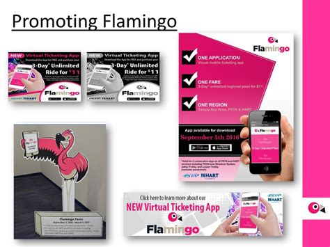 flamingo fares smart card tvm|flamingo fares tampa cost.